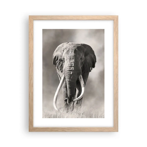 Póster en marco roble claro - Patriarca africano - 30x40 cm