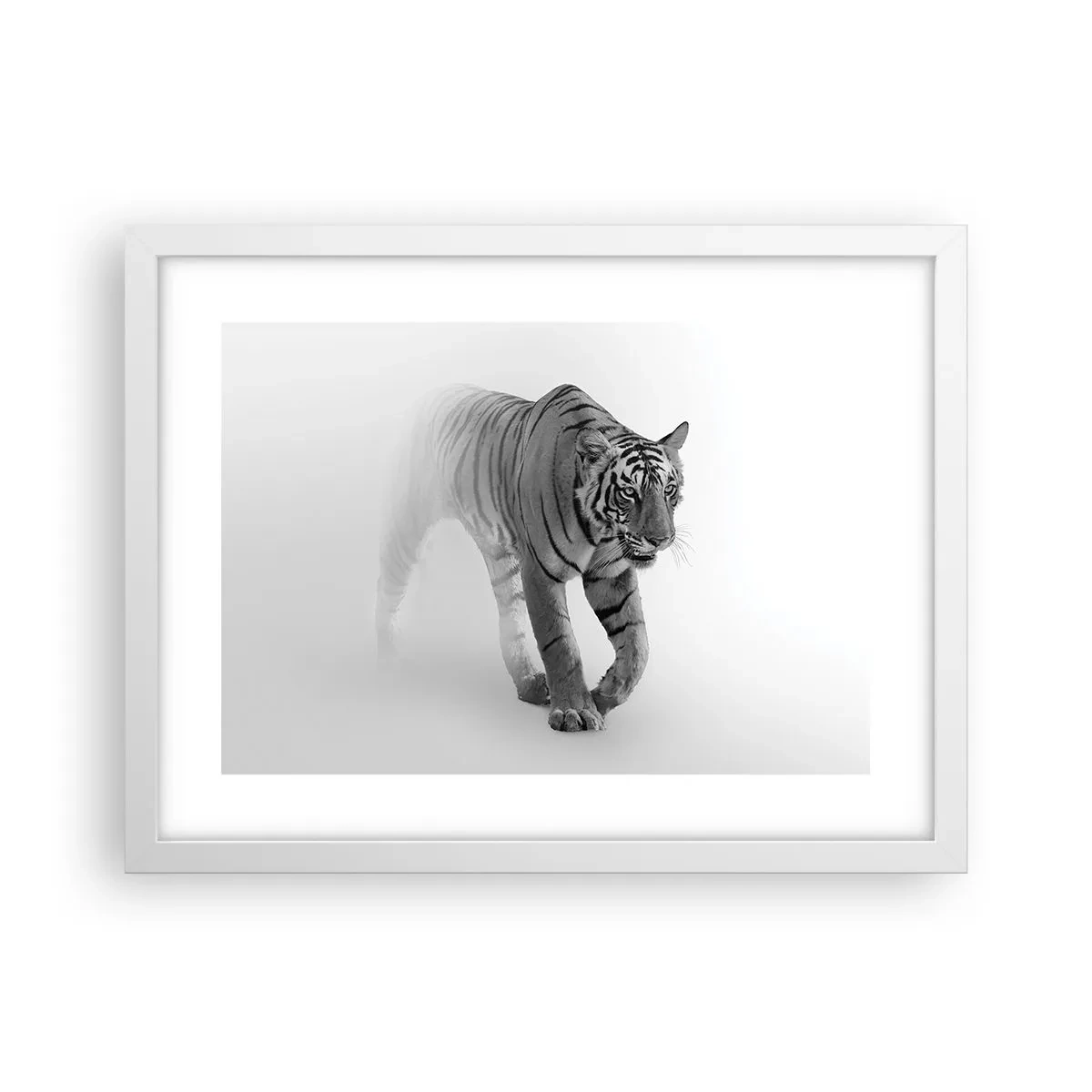 Póster en marco blanco - Siempre alerta entre la niebla - 40x30 cm