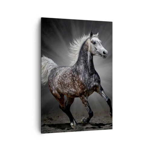 Cuadro sobre lienzo - Impresión de Imagen - Un caballo blanco galopando sobre un fondo oscuro. - 70x100cm - El gris es hermoso - Decoración de pared moderna para salón y dormitorio ARTTOR