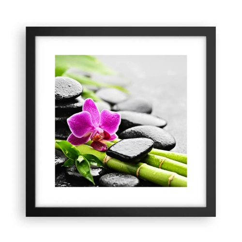 Póster en marco negro - En equilibrio pacífico - 30x30 cm