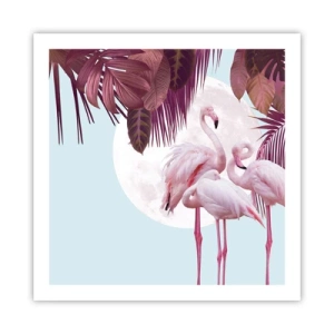 Póster - La grandeza de las aves - 60x60 cm