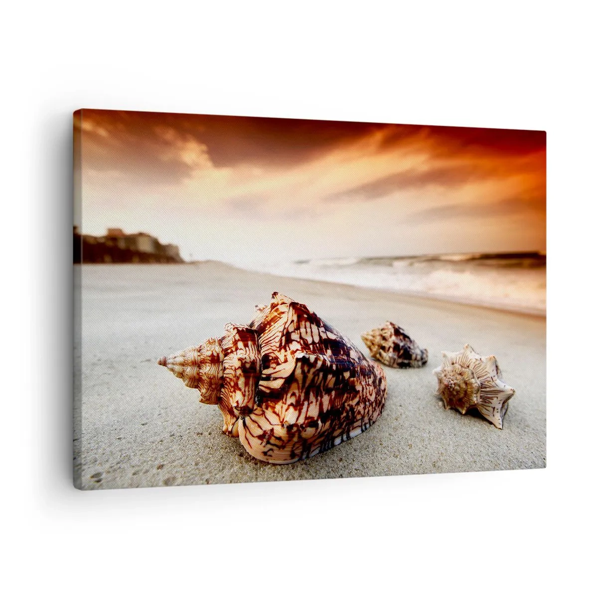 Cuadro sobre lienzo - Impresión de Imagen - Conchas en la playa al atardecer - 70x50cm - Los exiliados de las olas - Decoración de pared moderna para salón y dormitorio ARTTOR