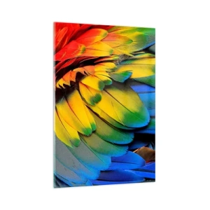 Cuadro sobre vidrio - Impresiones sobre Vidrio - Un primer plano de las coloridas plumas de un loro. - 80x120cm - Ave del paraíso - Decoración de pared moderna para salón y dormitorio ARTTOR