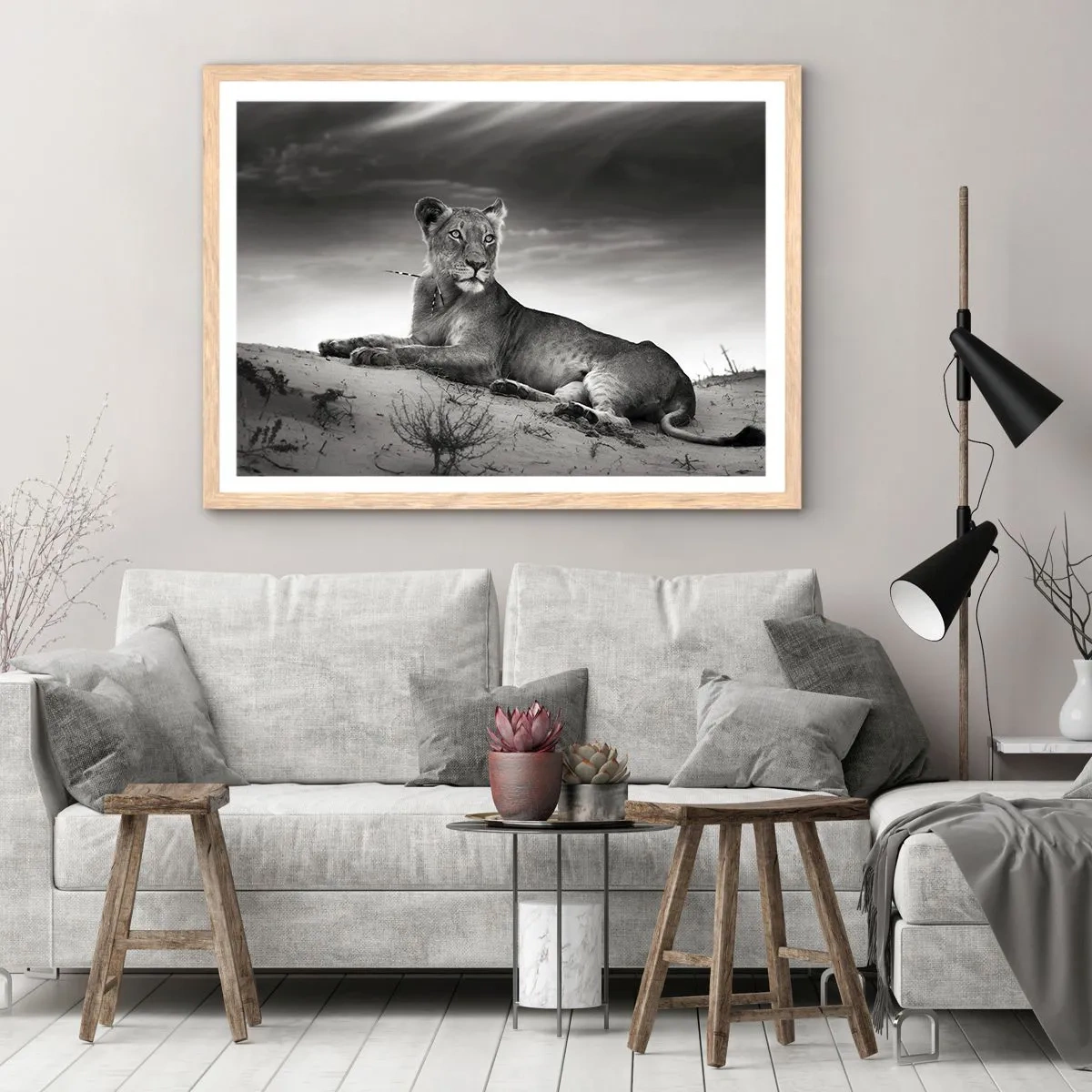 Póster en marco roble claro - Descanso de la reina del desierto - 91x61 cm