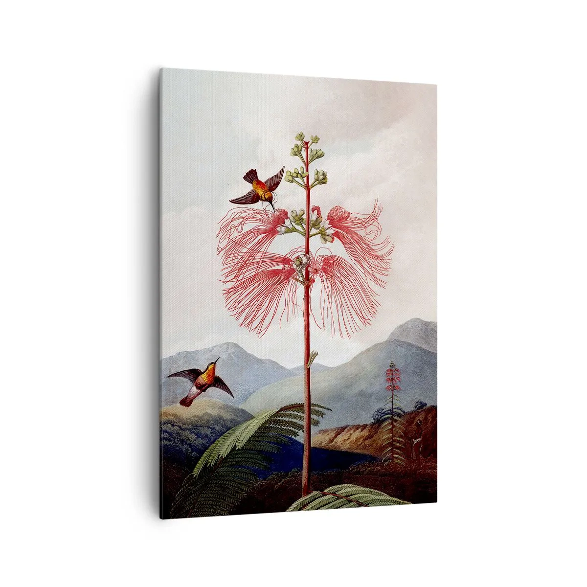 Cuadro sobre lienzo - Impresión de Imagen - En un paraíso tropical - 70x100 cm