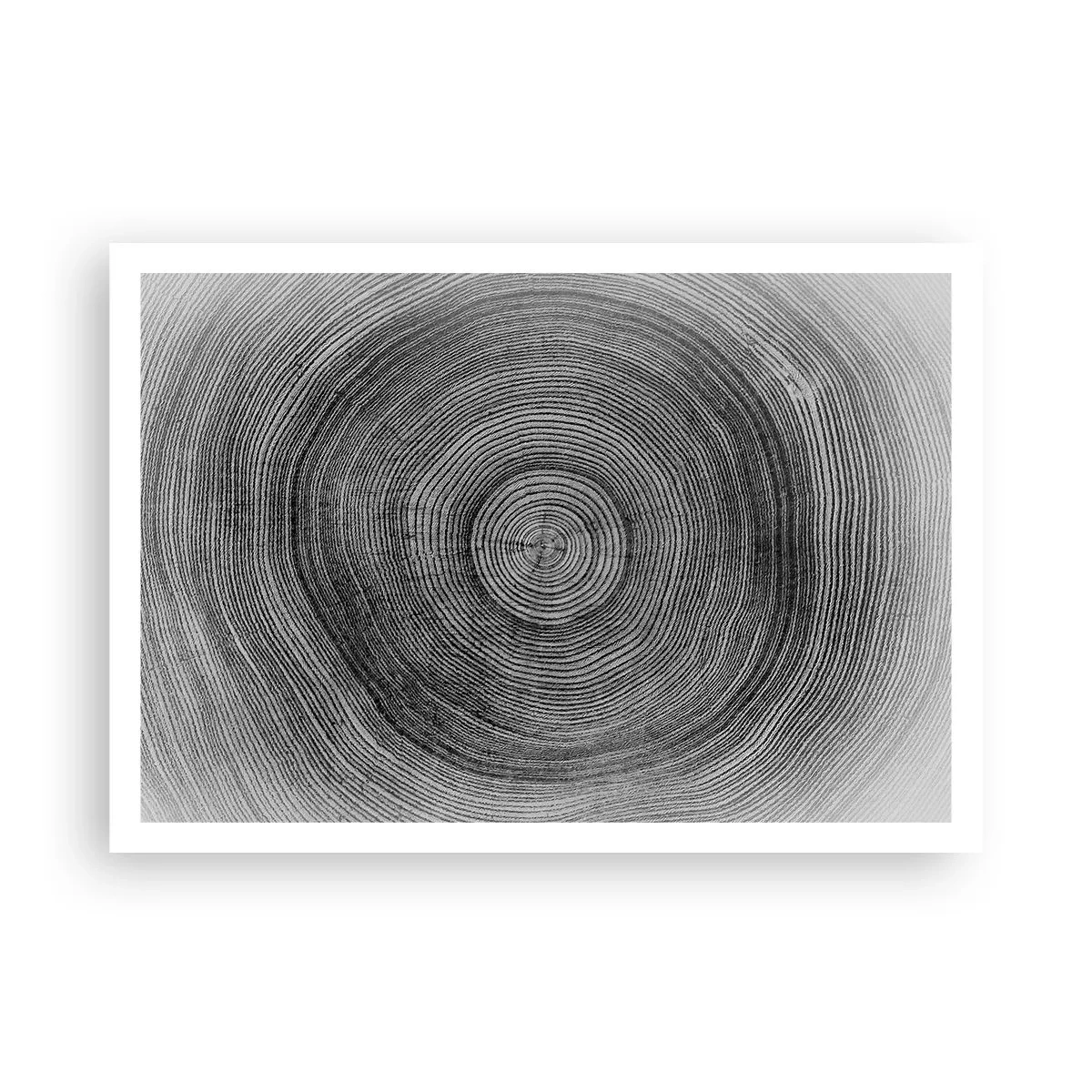 Póster - Patrón de anillos de árboles en blanco y negro que muestra una sección transversal del tronco. - 100x70cm - El paso del tiempo - Decoración de pared moderna para salón y dormitorio ARTTOR