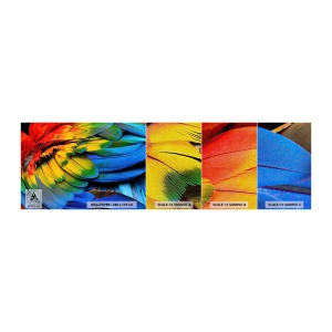 Muestra de fotomural Premium Canvas - Ave del paraíso - plumas de colores, plumas de loro, animales - 100x30 cm