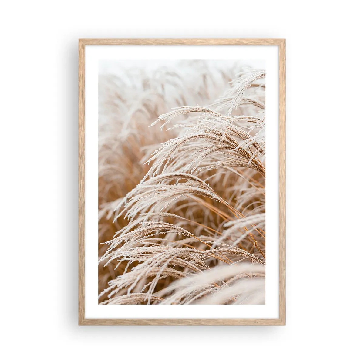 Póster en marco roble claro - El sol de otoño - 50x70 cm