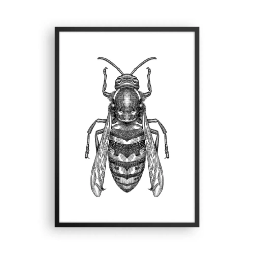 Póster en marco negro - Ilustración detallada de una avispa. - 50x70cm - Desde un planeta de insectos - Decoración de pared moderna para salón y dormitorio ARTTOR