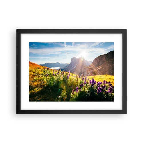 Póster en marco negro - La vida secreta de las hierbas - 40x30 cm