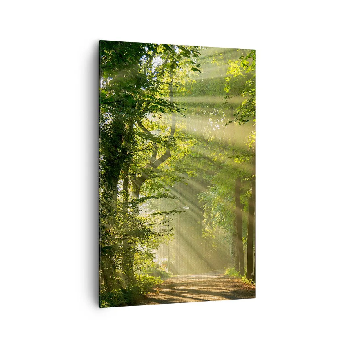 Cuadro sobre lienzo - Impresión de Imagen - Camino forestal con rayos de sol brillando a través de los árboles. - 80x120cm - Un momento en el bosque - Decoración de pared moderna para salón y dormitorio ARTTOR