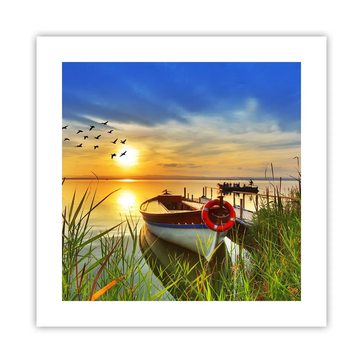 Póster - Los cormoranes están volando - 40x40 cm