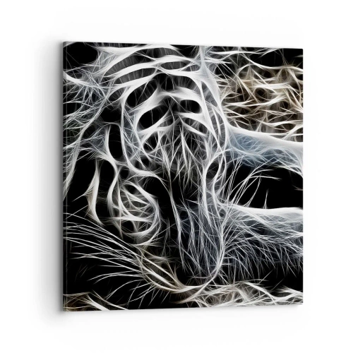 Cuadro sobre lienzo - Impresión de Imagen - Un estudio sobre la ligereza felina - 70x70 cm