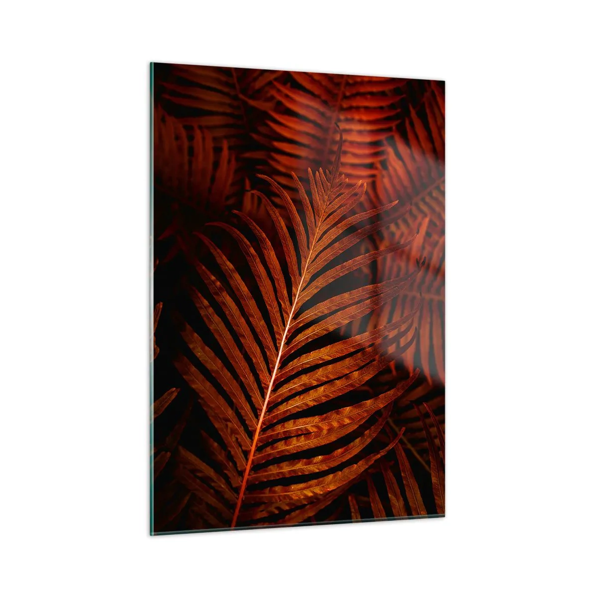 Cuadro sobre vidrio - Impresiones sobre Vidrio - Hojas rojas de una planta tropical sobre un fondo oscuro. - 50x70cm - Las brasas de la vida - Decoración de pared moderna para salón y dormitorio ARTTOR