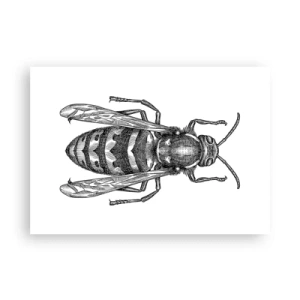 Póster - Un motivo de avispa de dibujos animados sobre un fondo blanco en un estilo minimalista. - 100x70cm - Desde un planeta de insectos - Decoración de pared moderna para salón y dormitorio ARTTOR