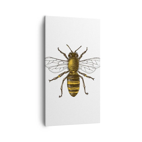 Cuadro sobre lienzo - Impresión de Imagen - Bondad natural - 45x80 cm