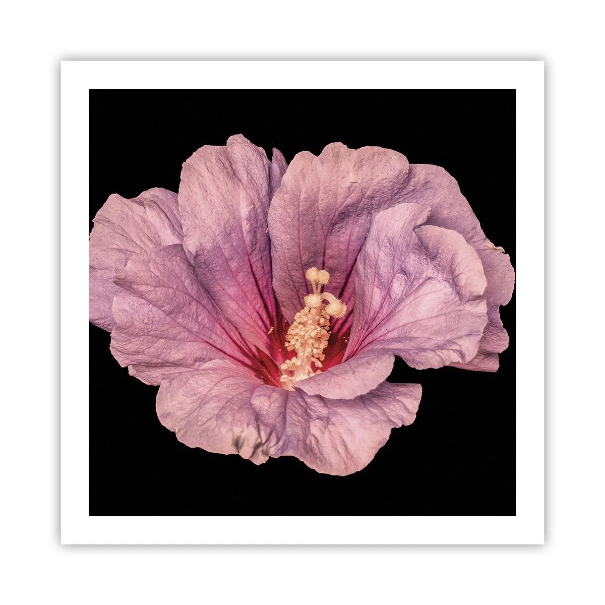 Póster - Directo al corazón - 60x60 cm