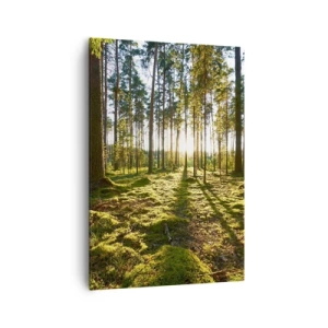 Cuadro sobre lienzo - Impresión de Imagen - Bosque verde iluminado por la luz del sol sobre el musgo. - 70x100cm - ...Más allá de los siete bosques - Decoración de pared moderna para salón y dormitorio ARTTOR