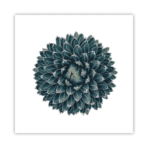 Póster - Estrella del desierto - 60x60 cm