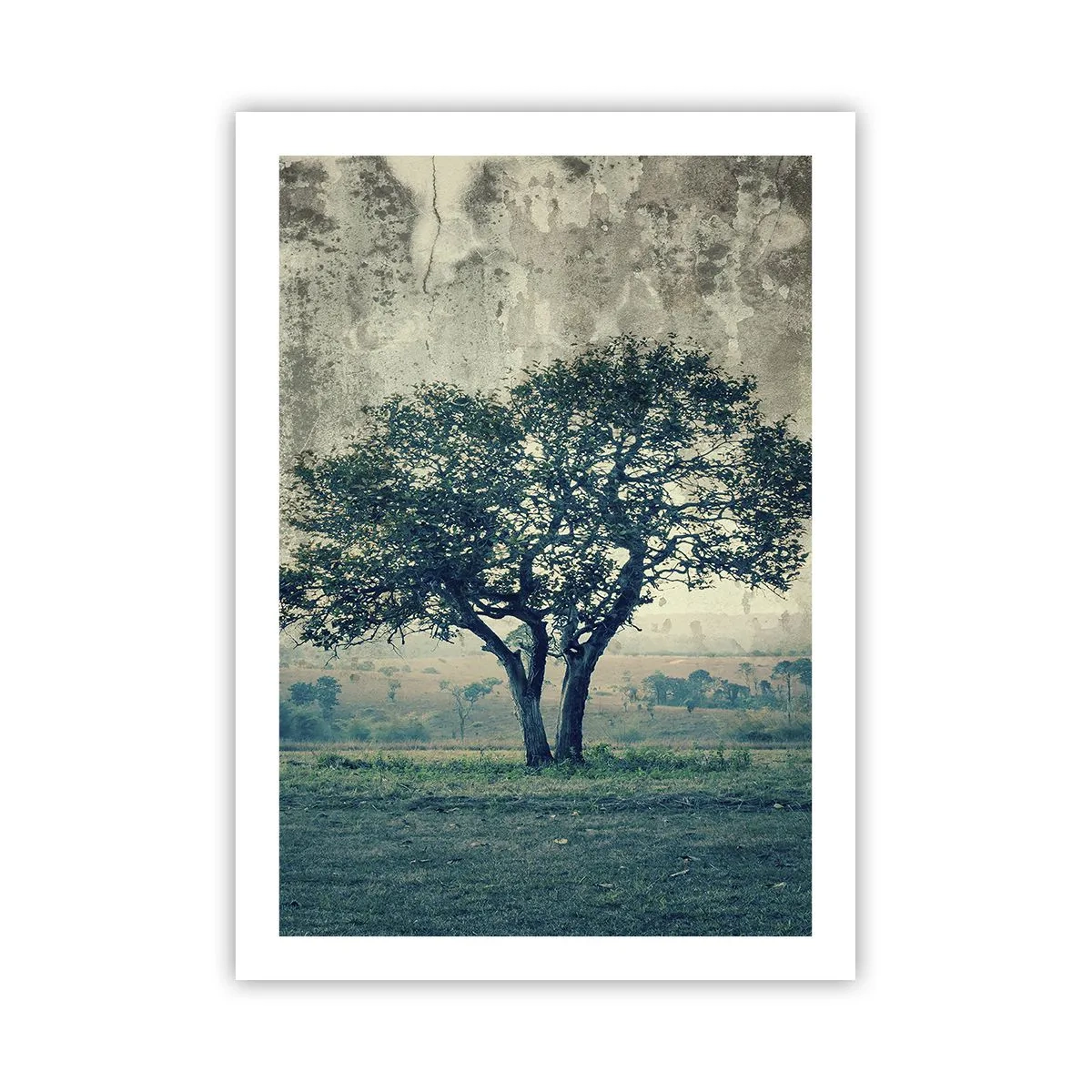 Póster - Un árbol solitario en un paisaje rústico. - 50x70cm - El manzano - Decoración de pared moderna para salón y dormitorio ARTTOR