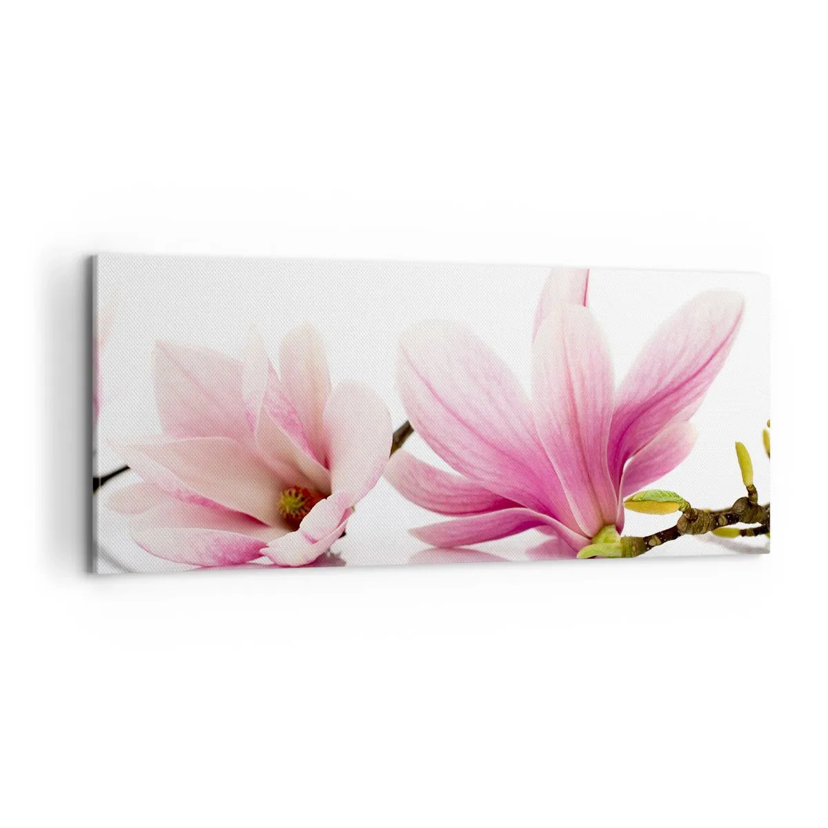 Cuadro sobre lienzo - Impresión de Imagen - Suave como un soplo de primavera - 100x40 cm