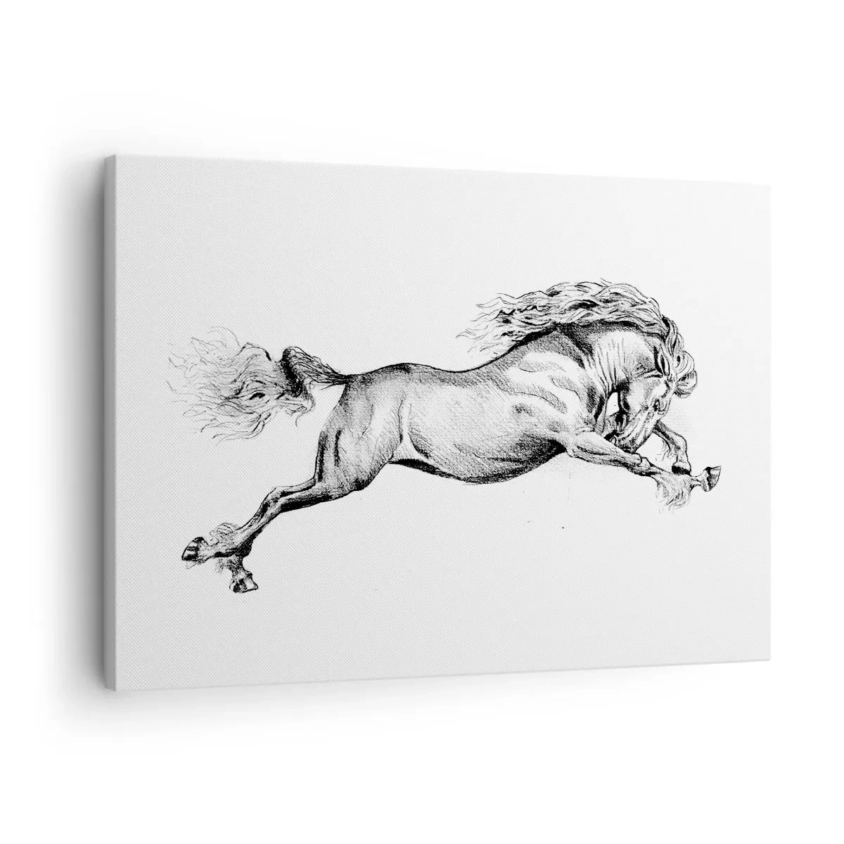 Cuadro sobre lienzo - Impresión de Imagen - Boceto de un caballo al galope dinámico sobre un fondo blanco. - 70x50cm - Captura al galope - Decoración de pared moderna para salón y dormitorio ARTTOR