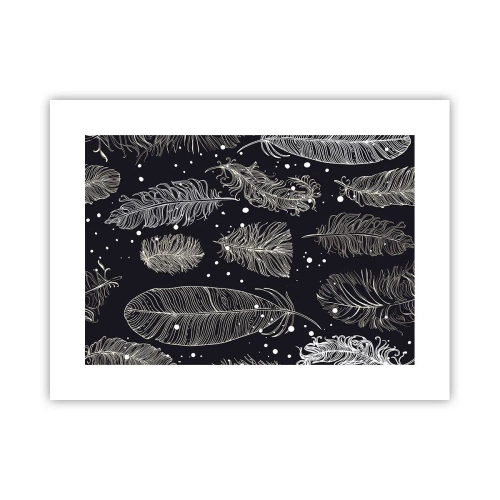 Póster - Encaje de plumas - 40x30 cm