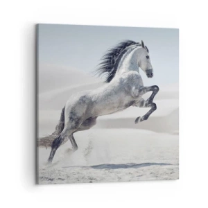 Cuadro sobre lienzo - Impresión de Imagen - Un príncipe árabe - 50x50 cm