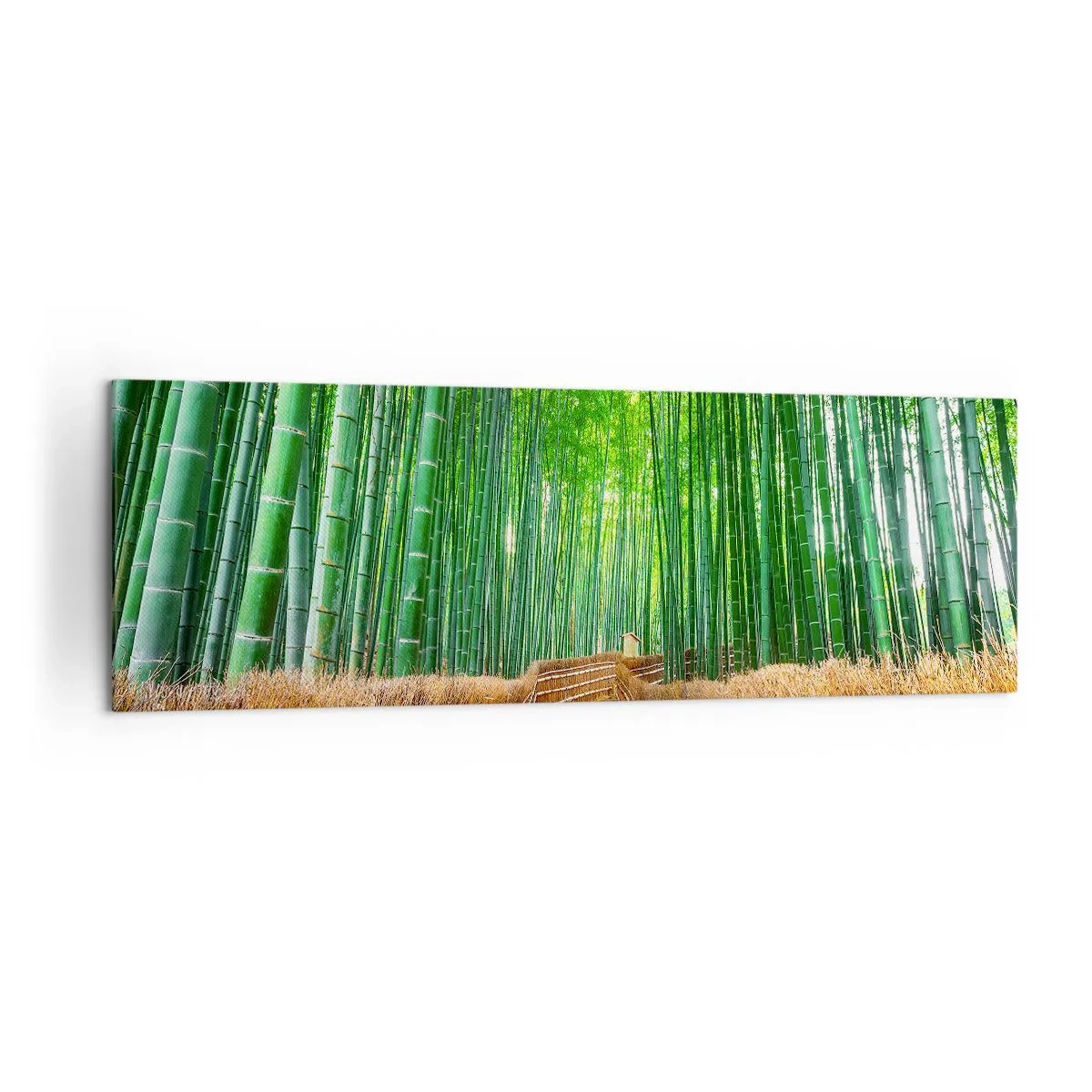 Cuadro sobre lienzo - Impresión de Imagen - Un camino en un denso bosque de bambú. - 160x50cm - La esencia de la naturaleza asiática - Decoración de pared moderna para salón y dormitorio ARTTOR