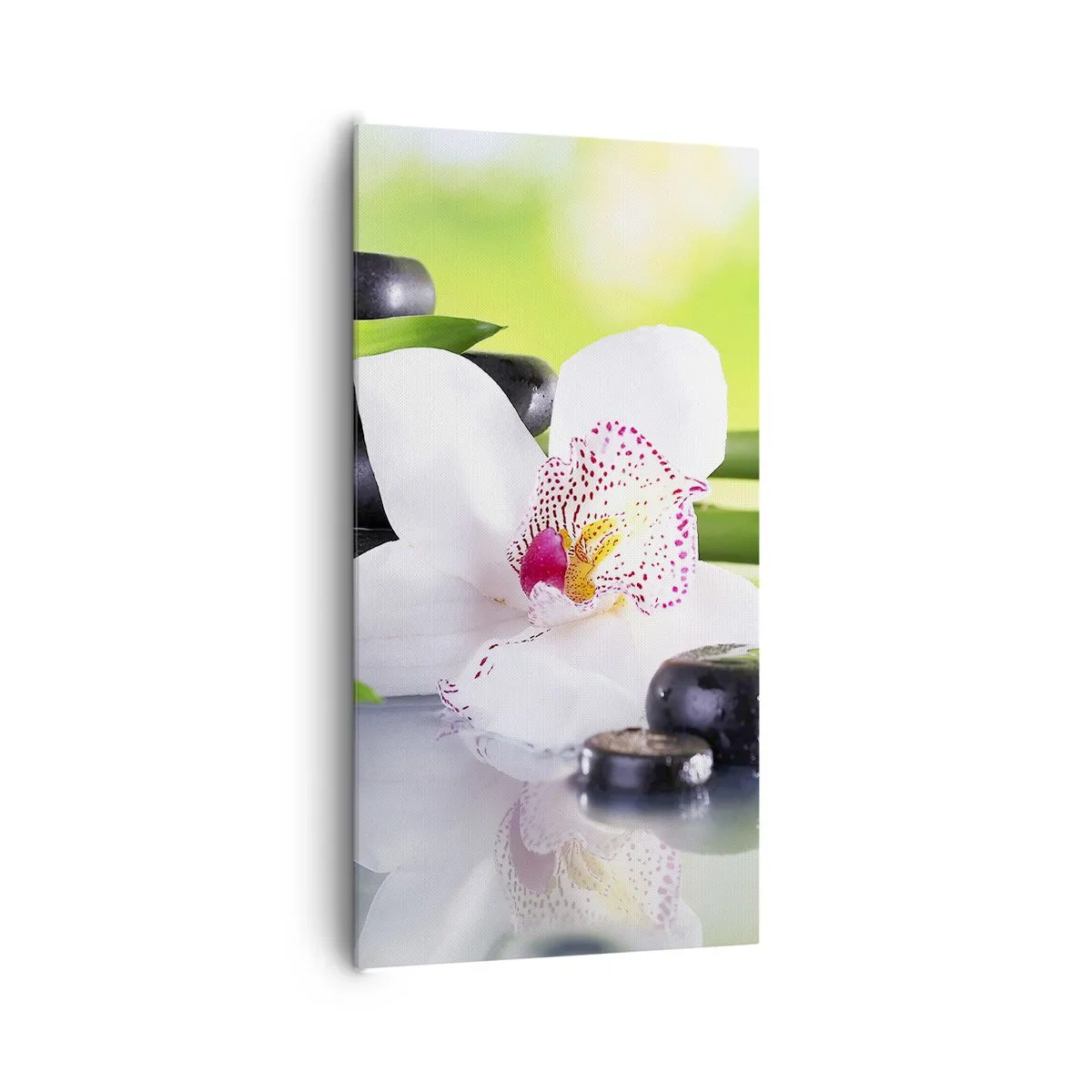 Cuadro sobre lienzo - Impresión de Imagen - Frescura - 65x120 cm