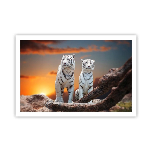 Póster - Como en Narnia - 91x61 cm