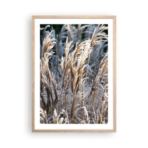 Póster en marco roble claro - Campos y campos - 50x70 cm