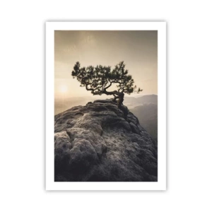 Póster - Un árbol solitario en un pico rocoso a la luz del sol poniente. - 50x70cm - La vida se abre camino - Decoración de pared moderna para salón y dormitorio ARTTOR