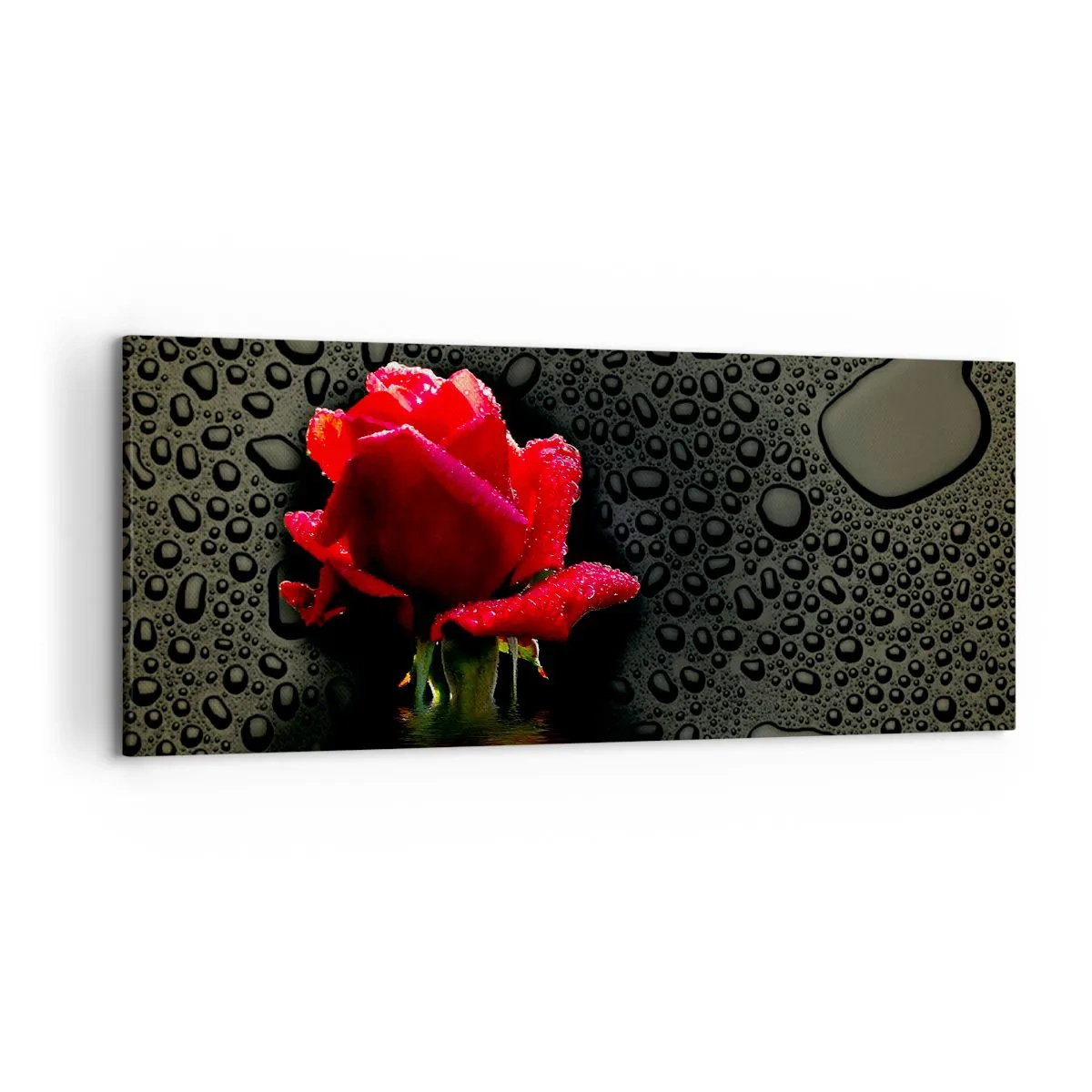 Cuadro sobre lienzo - Impresión de Imagen - Rosa roja con gotas de agua sobre un fondo oscuro - 120x50cm - Rojo y negro - Decoración de pared moderna para salón y dormitorio ARTTOR