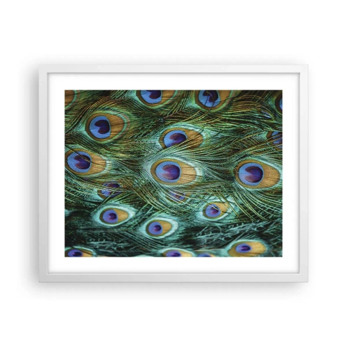 Póster en marco blanco - Mirada de pavo real - 50x40 cm