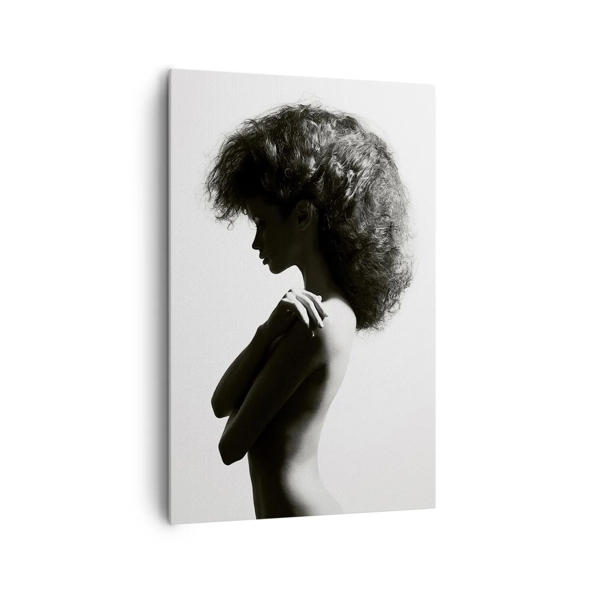 Cuadro sobre lienzo - Impresión de Imagen - Una silueta sutil de una mujer en tonos blanco y negro sobre un fondo claro. - 80x120cm - Como una flor en un tallo delgado - Decoración de pared moderna para salón y dormitorio ARTTOR