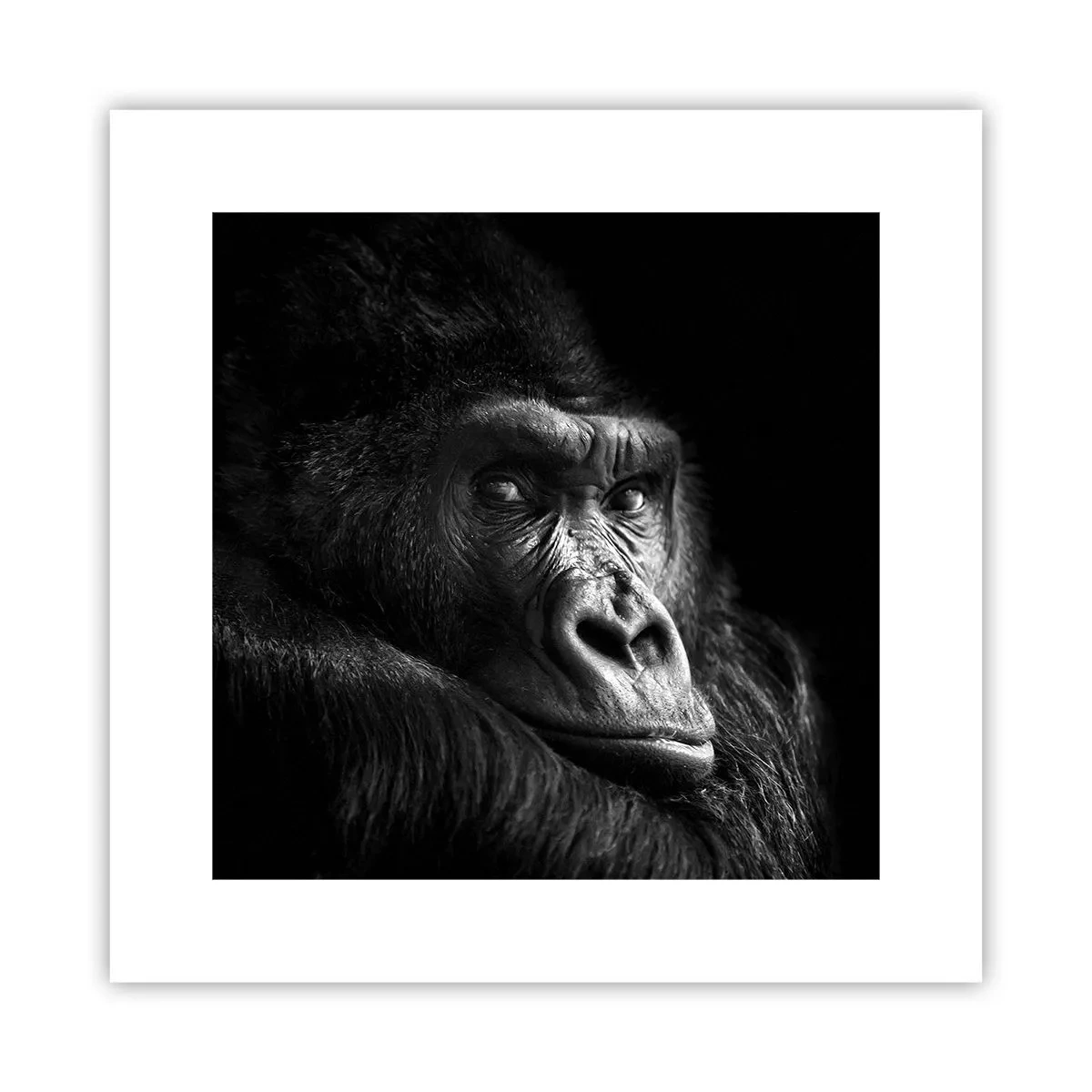 Póster - ¿Y qué estás mirando? - 30x30 cm