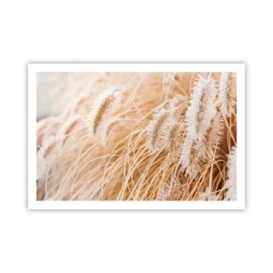 Póster - El dorado susurro de las hierbas - 91x61 cm