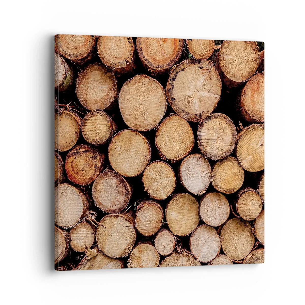 Cuadro sobre lienzo - Impresión de Imagen - Un nuevo comienzo - 40x40 cm