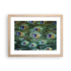 Póster en marco roble claro - Mirada de pavo real - 40x30 cm