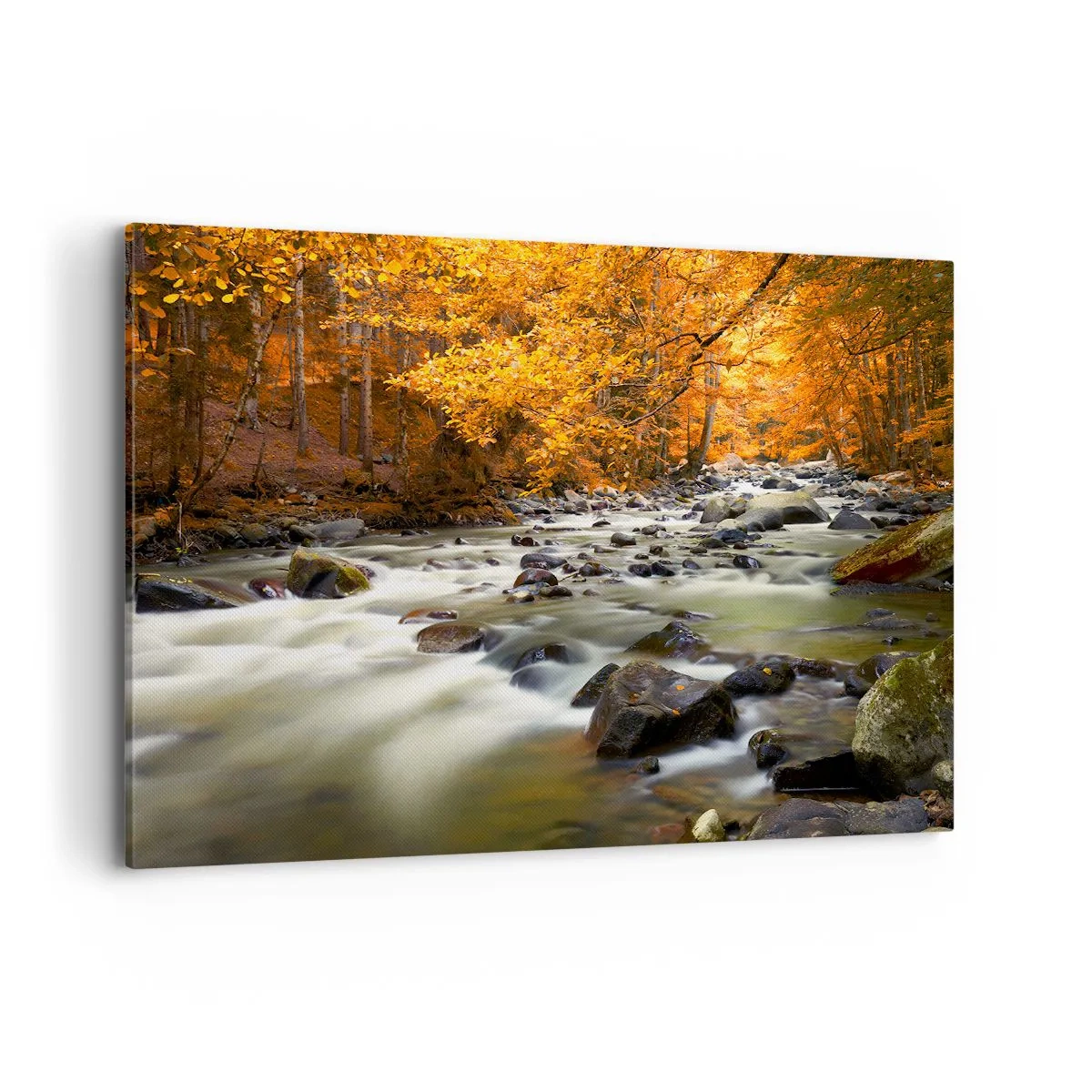 Cuadro sobre lienzo - Impresión de Imagen - Un arroyo en un bosque otoñal rodeado de hojas doradas. - 120x80cm - Un arroyo en un bosque dorado - Decoración de pared moderna para salón y dormitorio ARTTOR