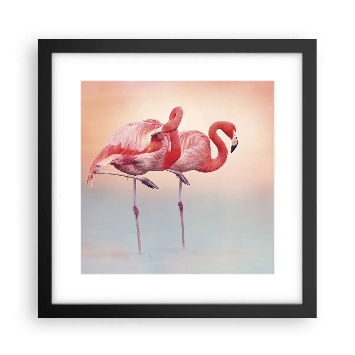 Póster en marco negro - Elegancia bajo el sol de poniente - 30x30 cm