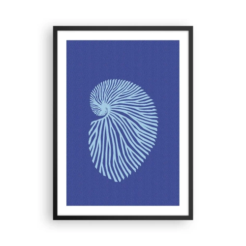 Póster en marco negro - Gráficos de concha estilizados en disposición espiral - 50x70cm - Nacimiento de una concha - Decoración de pared moderna para salón y dormitorio ARTTOR