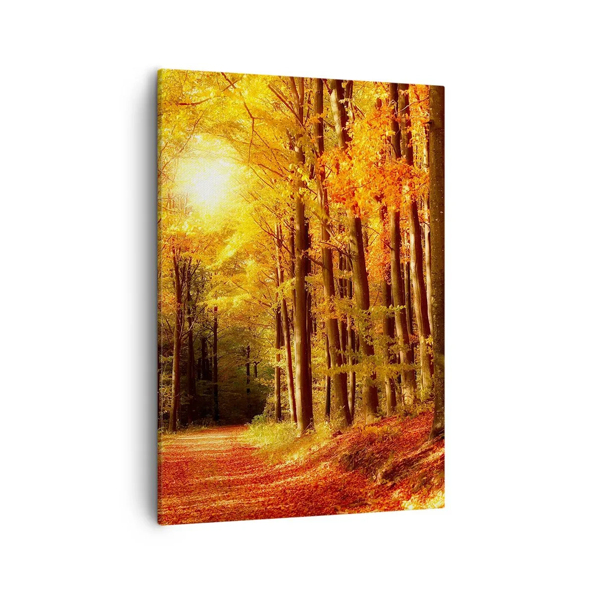 Cuadro sobre lienzo - Impresión de Imagen - Bosque otoñal con rayos de sol brillando a través de los árboles. - 50x70cm - Un otoño dorado en una carretera forestal - Decoración de pared moderna para salón y dormitorio ARTTOR