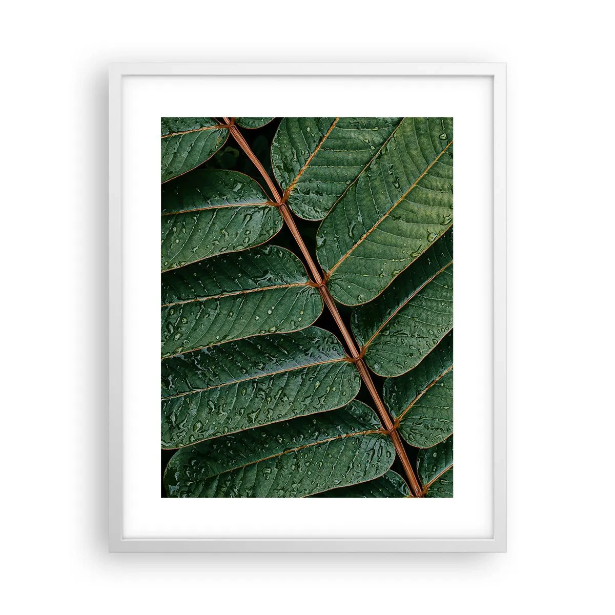 Póster en marco blanco - En un ritmo verde - 40x50 cm