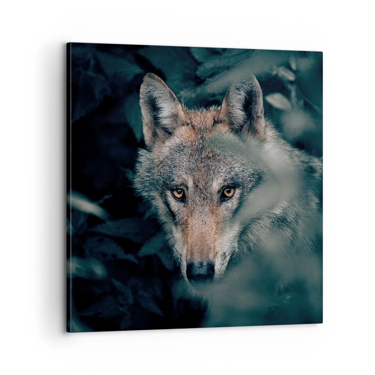 Cuadro sobre lienzo - Impresión de Imagen - Cazador - 60x60 cm