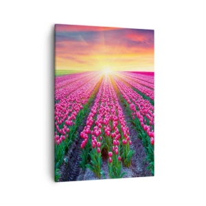 Cuadro sobre lienzo - Impresión de Imagen - Un campo de tulipanes al atardecer - 50x70cm - Granja de belleza - Decoración de pared moderna para salón y dormitorio ARTTOR