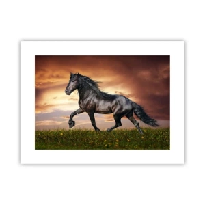 Póster - Príncipe negro - 40x30 cm