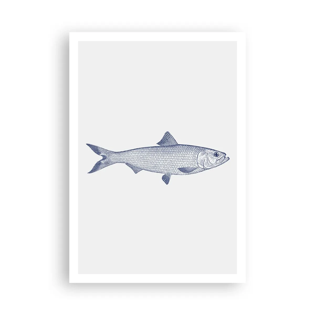 Póster - Saludos desde los mares del norte - 70x100 cm