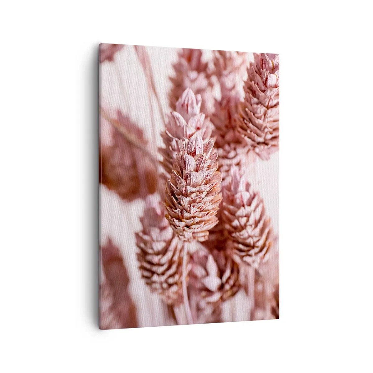 Cuadro sobre lienzo - Impresión de Imagen - Un primer plano de las delicadas espigas rosadas de las hierbas ornamentales. - 50x70cm - Aparentemente discreto - Decoración de pared moderna para salón y dormitorio ARTTOR